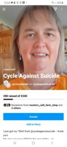 Instagram Fundraiser
