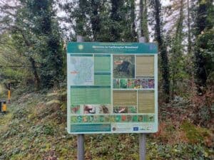 Coilte Information Board CastleTaylor Woods