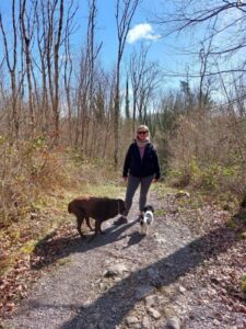Attyslany Woodland Steep drop